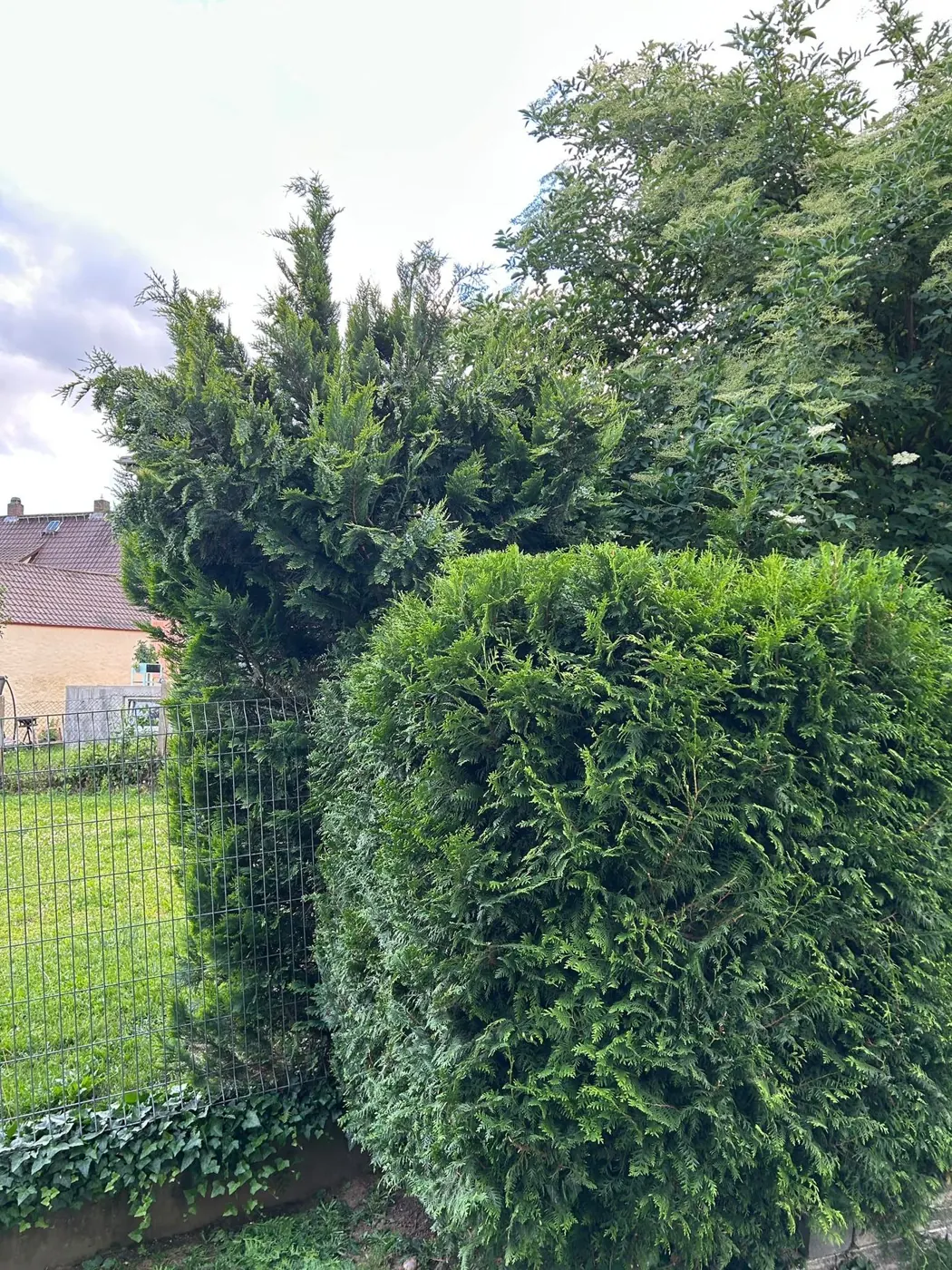 Gartenpflege in Groß-Bieberau und Umgebung durch K&G Außenpflege